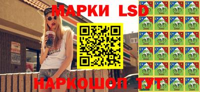 стафф Дубна