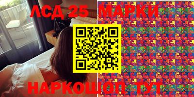 крисы Новодвинск