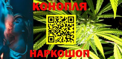 стафф Донецк
