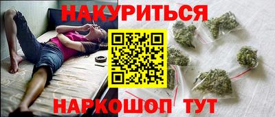 стафф Дубна