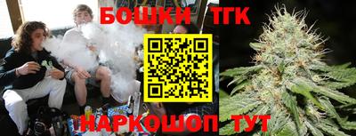 стафф Дубна