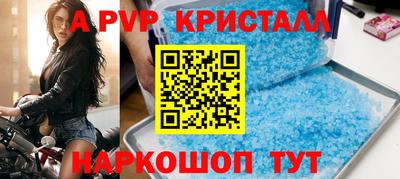 стафф Донецк