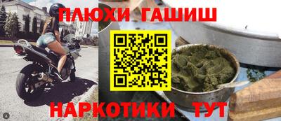 крисы Новодвинск